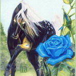  (150x150, 11Kb)