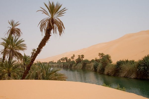 Оазисы – это чудо природы посреди безжизненной пустыни!