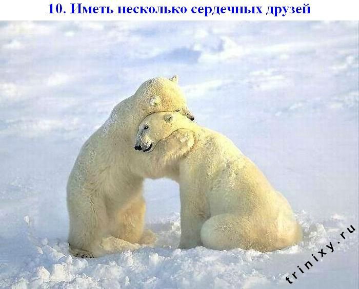 http://img1.liveinternet.ru/images/attach/c/0/36/794/36794859_schastje_10.jpg