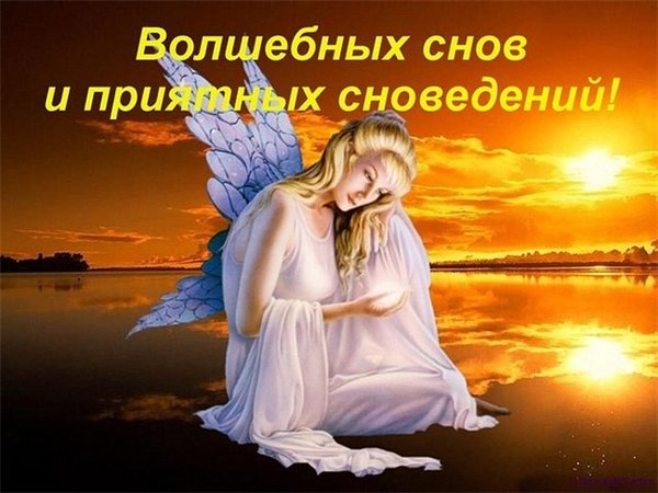  (600x450, 55Kb)