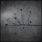 (140x140, 8Kb)