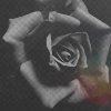  (100x100, 28Kb)