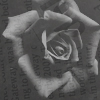  (100x100, 28Kb)