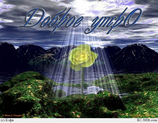  (550x429, 171Kb)