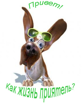 http://img1.liveinternet.ru/images/attach/c/0/39/3/39003331_otkritkaprivet_kak_dela_21.jpg