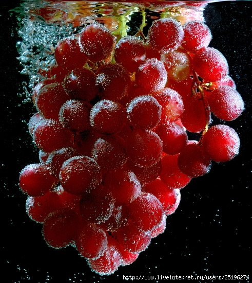 виноград в шампанском25137555_1210978476_valex61 (491x550, 

136Kb)