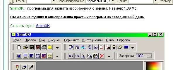 SnimOK программа для захвата изображения с экрана