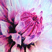 (200x200, 16Kb)