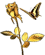 512 (150x180, 57Kb)