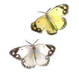  (163x149, 19Kb)