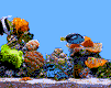  (101x80, 24Kb)