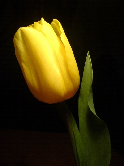  (525x700, 176Kb)
