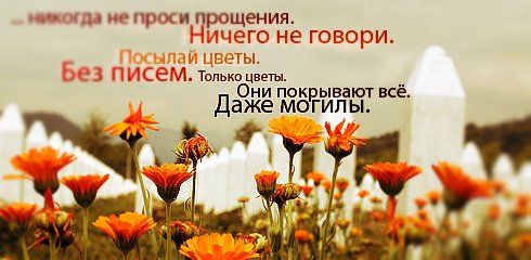  (490x240, 35Kb)