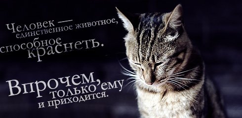  (490x240, 29Kb)