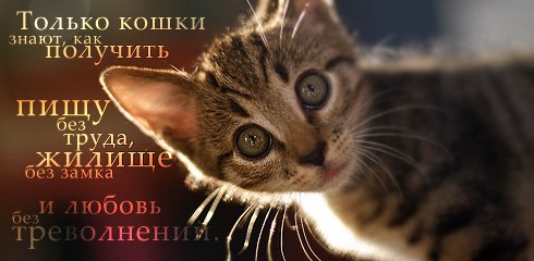  (490x240, 29Kb)