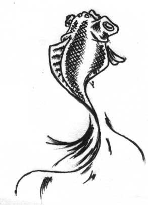 Фото и значение татуировки Рыба. Татуировка " Рыба. Рыбы. Рыбки. Карасик. Карасики. " значение в магии, фото. 43010691_tattoo23