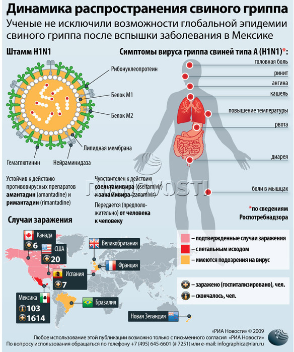 Вирус h1n1 как лечить 152