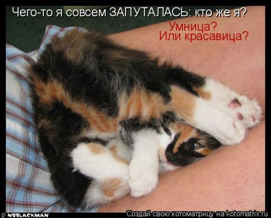 найти местонахождение человека бесплатно Иссу, найти местонахождение человека бесплатно из них мы