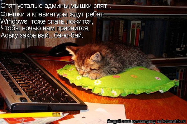 http://img1.liveinternet.ru/images/attach/c/0/43/859/43859783_spyat_ustaluye.jpg