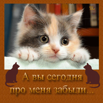Открытка ты что забыл про меня Открытка ты что забыл про меня
