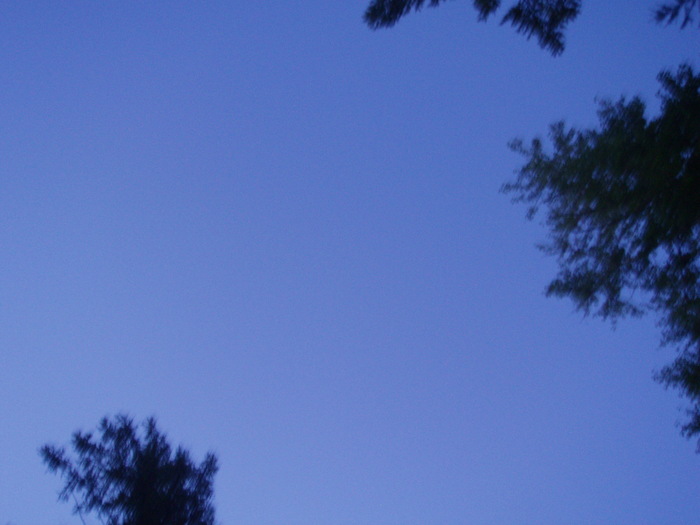  (700x525, 65Kb)