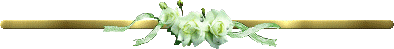 (394x49, 5Kb)