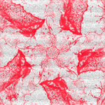11-2 (150x150, 45Kb)