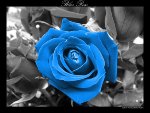  (150x113, 6Kb)