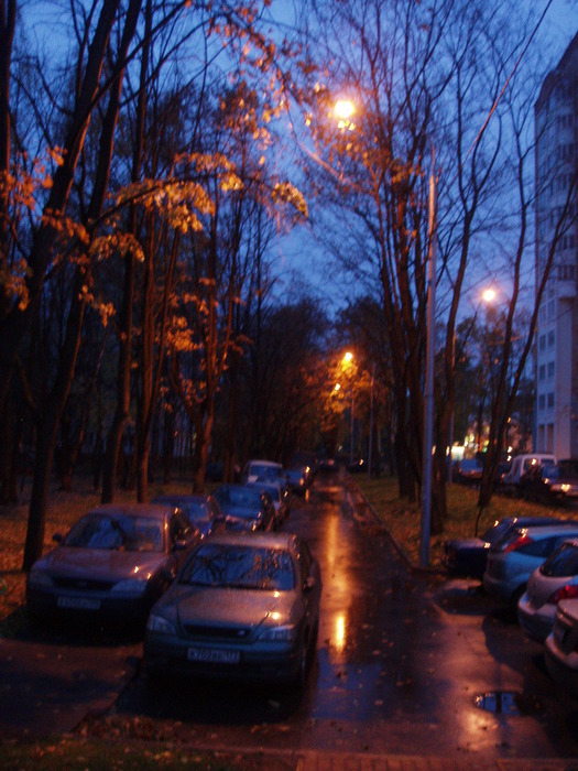  (525x700, 139Kb)