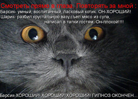 (450x321, 172Kb)