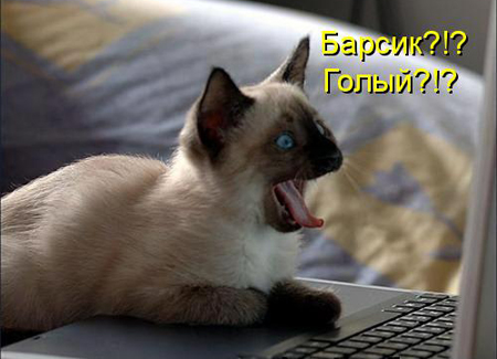 (450x325, 115Kb)