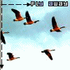  (100x100, 5Kb)