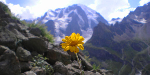  (300x150, 59Kb)