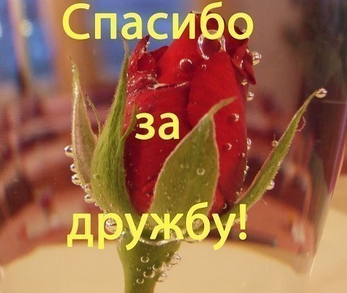 http://img1.liveinternet.ru/images/attach/c/1//54/405/54405298_35892.jpg