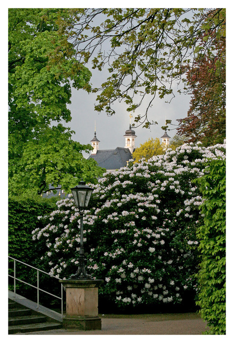 замок Пильнитц-Schloss Pillnitz 55288