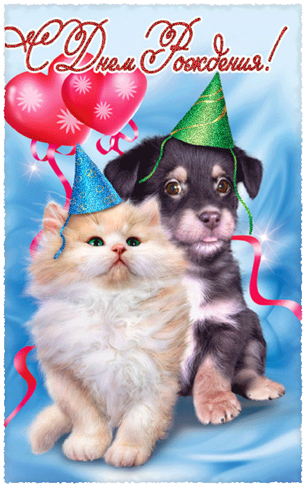 Картинки с днем рождения собаки