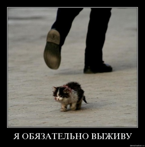 http://img1.liveinternet.ru/images/attach/c/1//55/305/55305435_21.jpg
