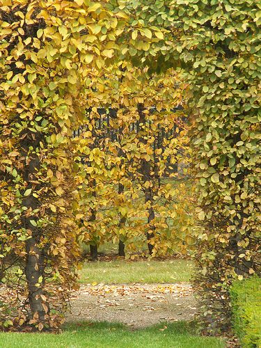 Замок Вакербарт (нем. Schloss Wackerbarth) 71063