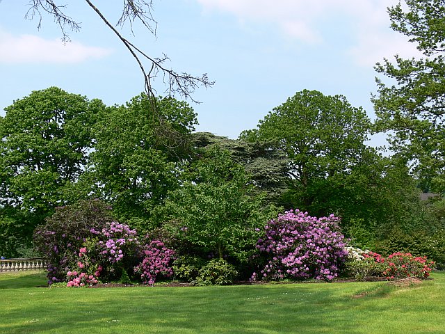 Усадьба Уитли Коурт (Witley Court) 36355