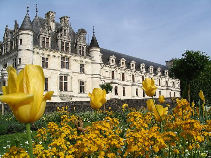 ЗАМОК ШЕНОНСО (Chateau de Chenonceau) 36109