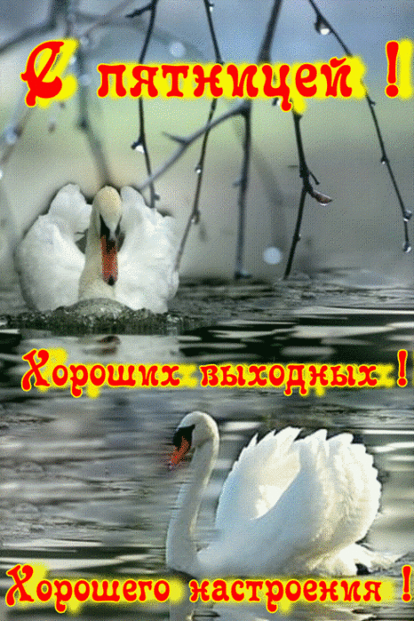 http://img1.liveinternet.ru/images/attach/c/1//56/36/56036370_80651a5e.gif