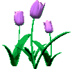  (104x100, 17Kb)