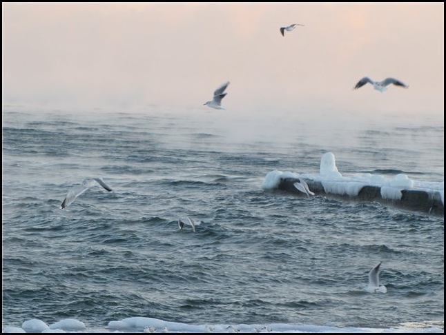 Чёрное море зима 2010