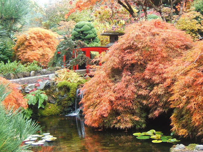 Сады Бучартов на острове Ванкувер. The Butchart Gardens. 12522