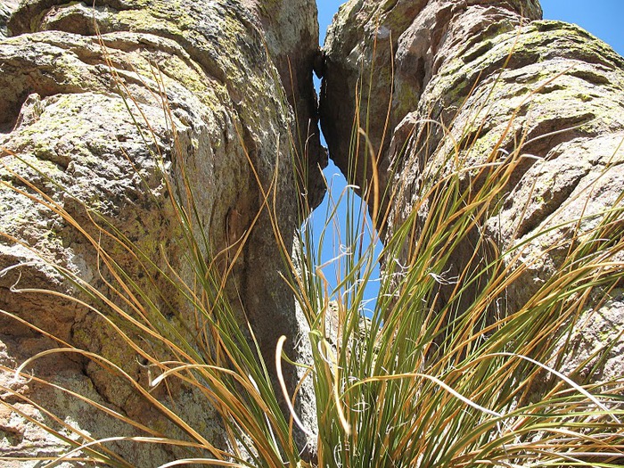 Аризона: Парк ‘Chiricahua’ - CHIRICAHUA NATIONAL MONUMENT 47604