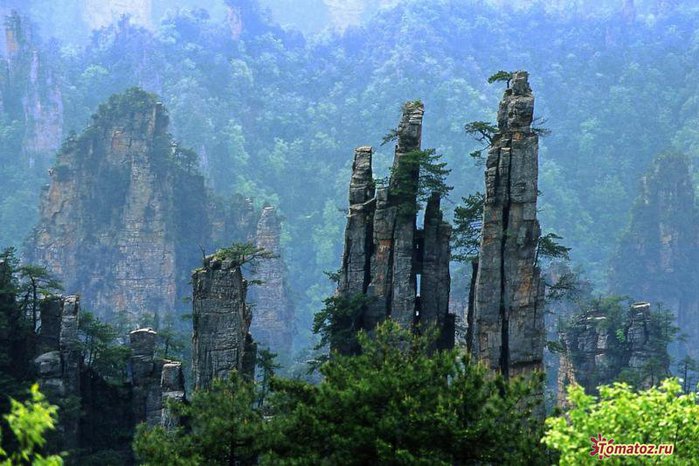 1264877452_20_zhangjiajie (699x466, 87 Kb)