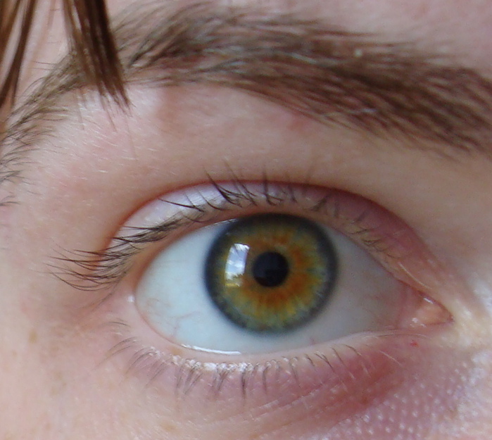 Тушь Max Factor 2000 Calorie , max factr false lash effect (699x625, 146Kb)