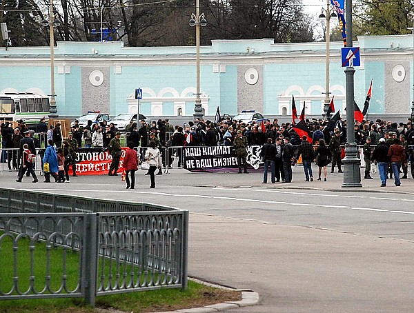 Йа мигалко или пожизненный эцих (600x454, 127Kb)