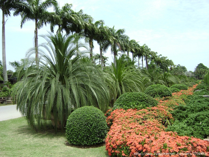 Nong Nooch Tropical Garden. (700x525, 330Kb)