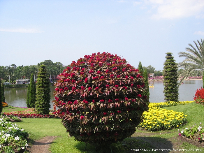 Nong Nooch Tropical Garden. (700x525, 257Kb)